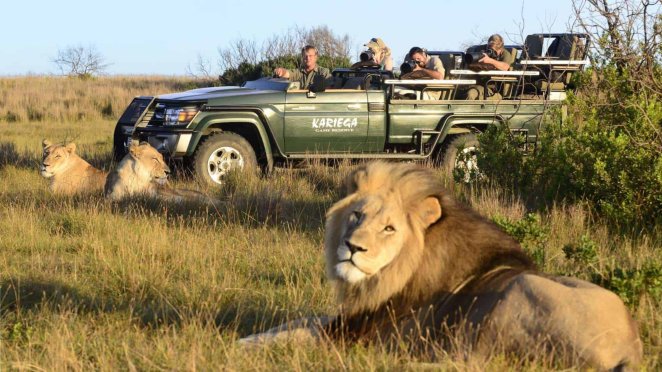 Why Partnering With A Bespoke African Safari Specialist Transforms Dreams Into Unforgettable Expeditions