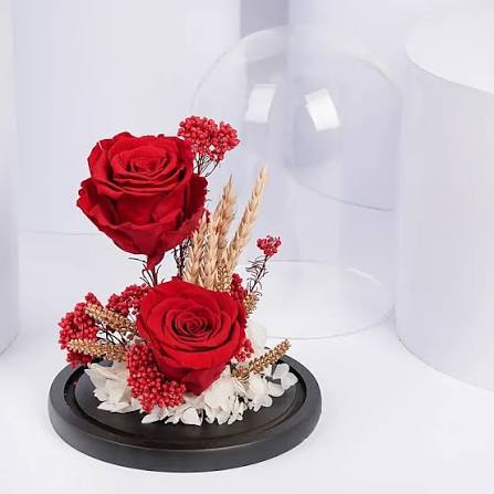 Roses